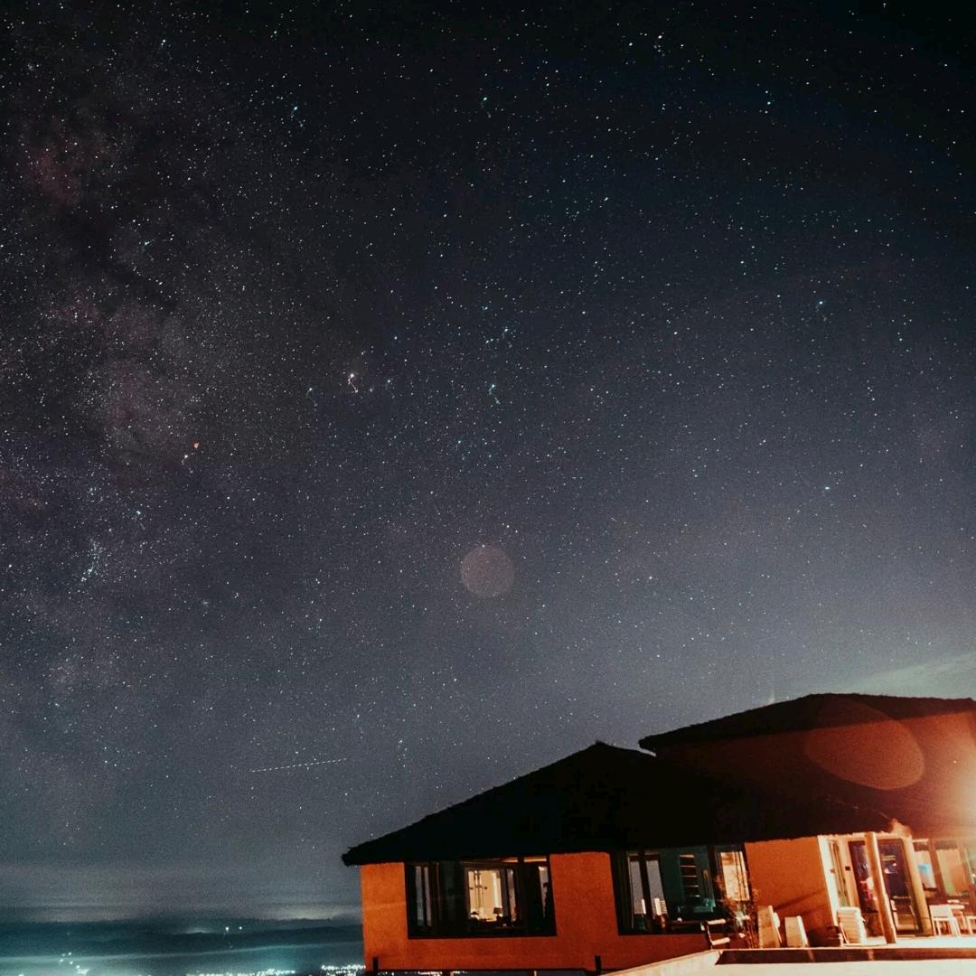 花开我富贵 🦖