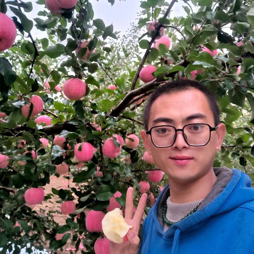 张伟伟苹果家庭农场