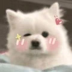 金甲大王