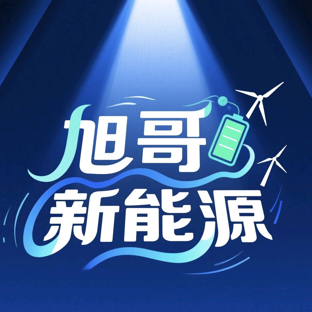 沈阳国之旭新能源二手车