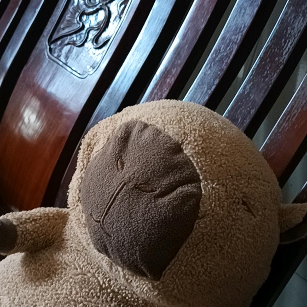 6月的果