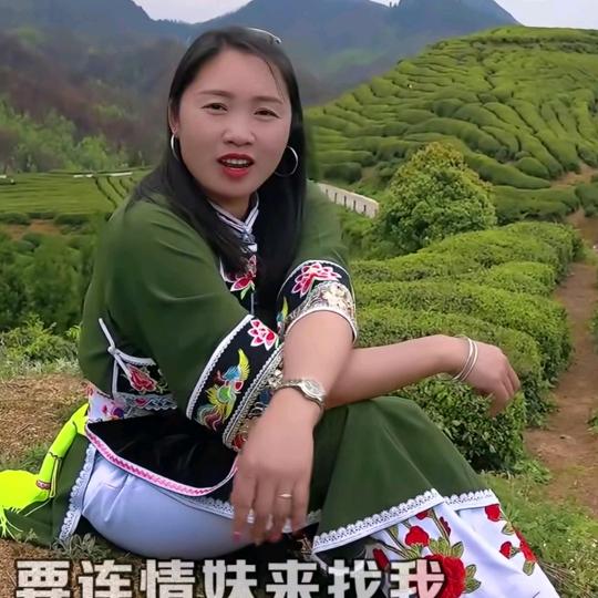 红琴