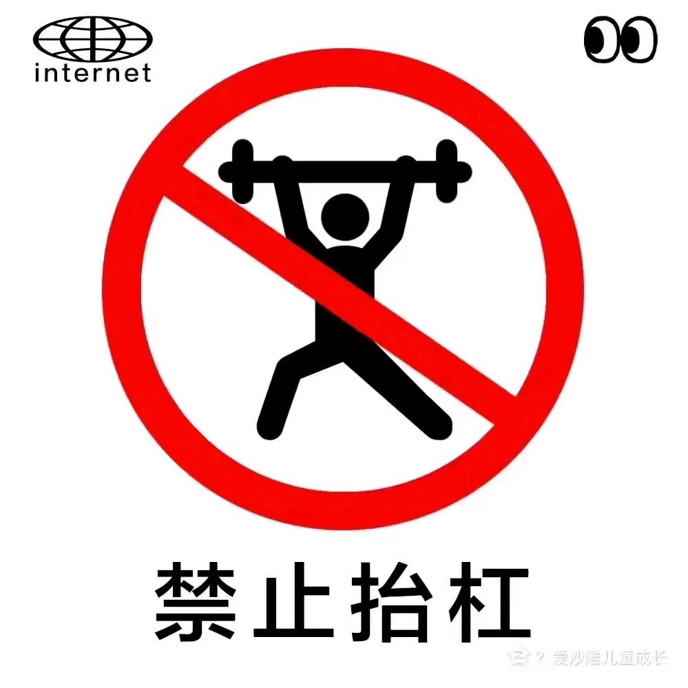 回家看剧