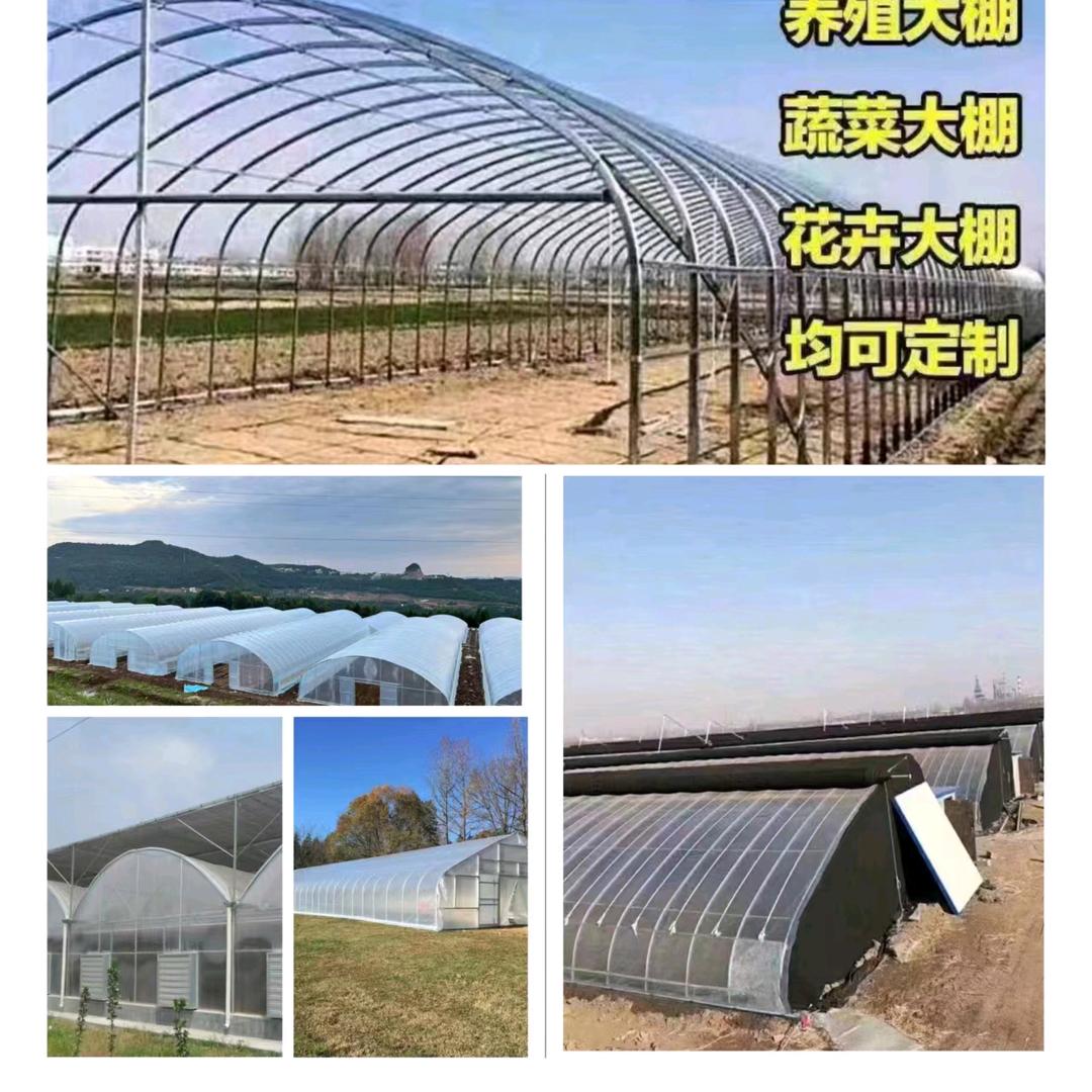 温室大棚源头厂家