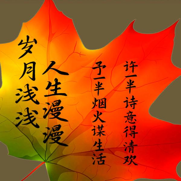 人滴心声最动听