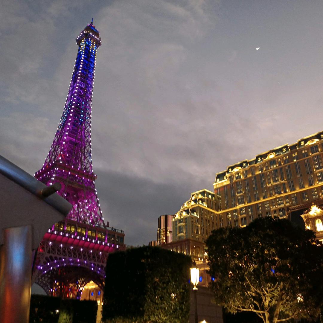 ◎。。。。。。