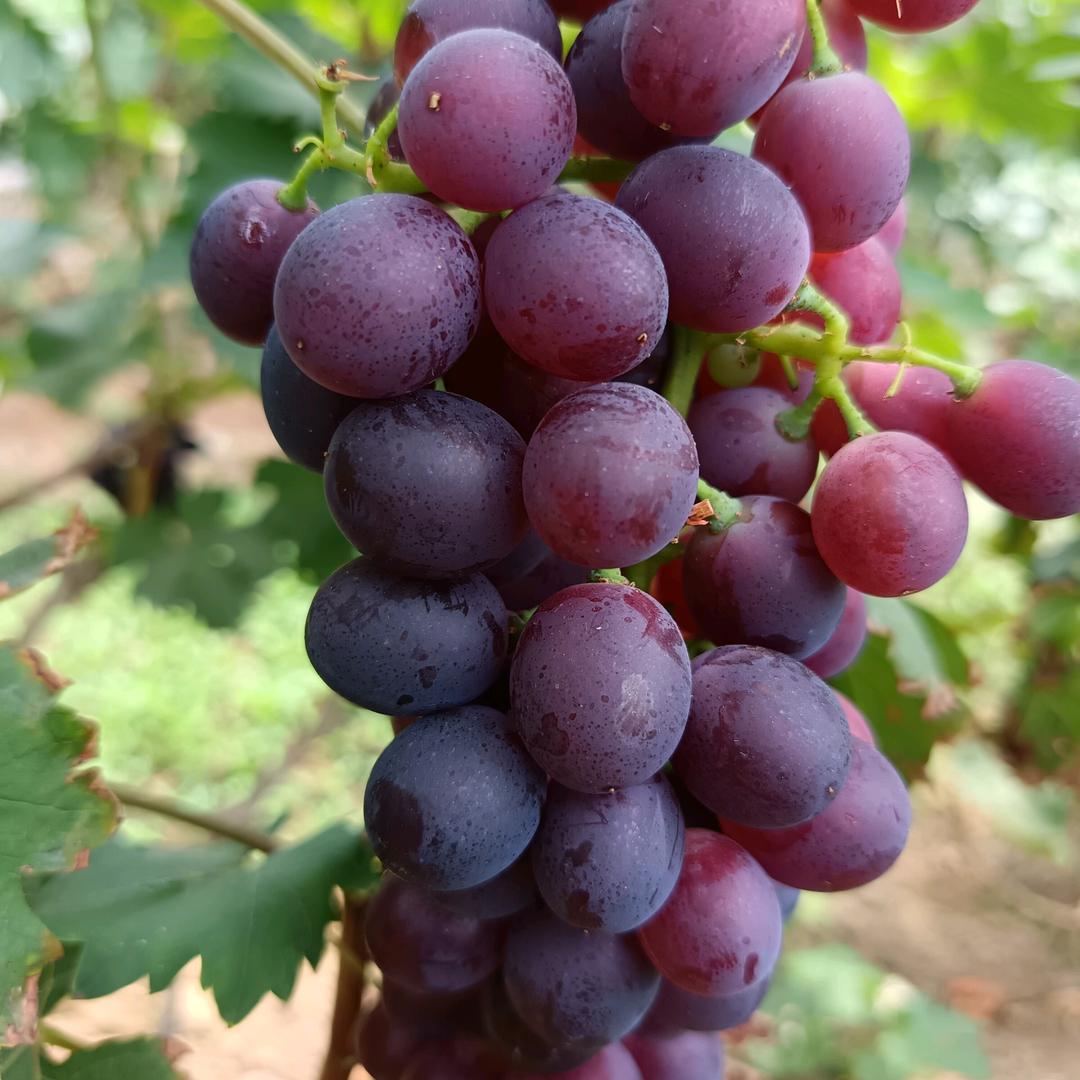 仰望星空拥抱太阳