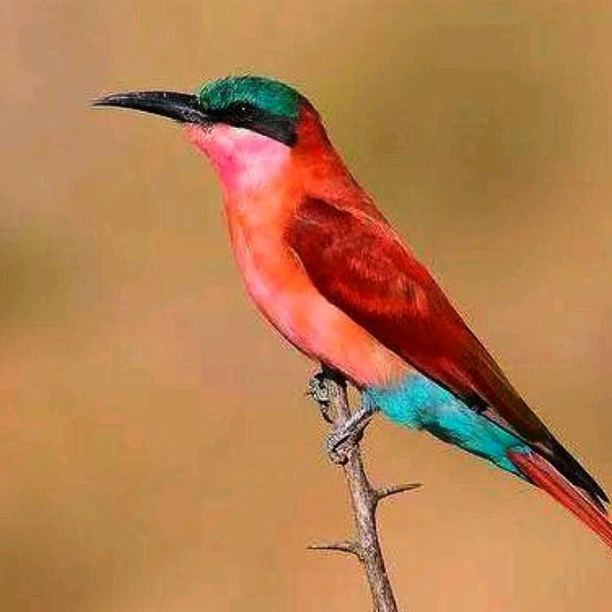 最美的风景在路上