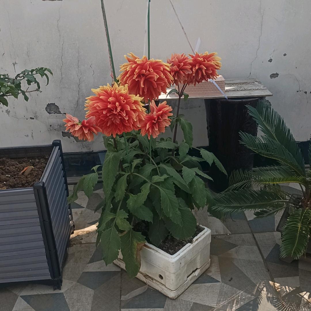 珍惜缘份