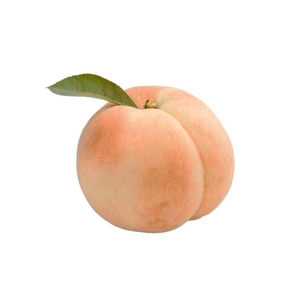 开心桃桃子🍑