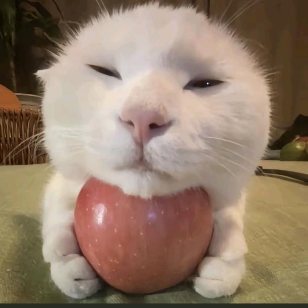 忧郁的指甲盖