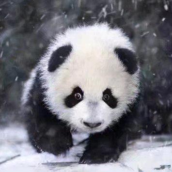 L 自由色彩 y 🕊