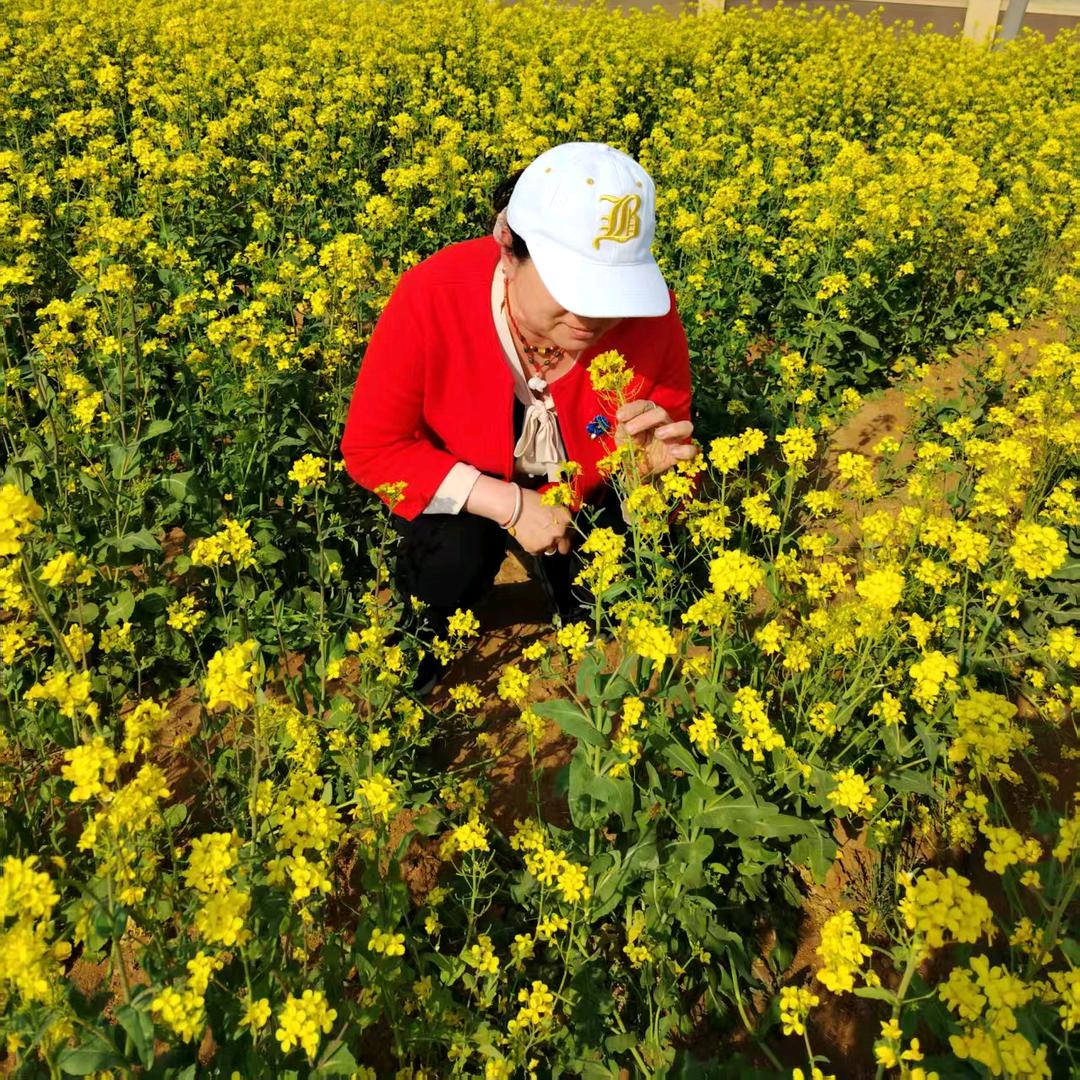 💋记忆💋520511