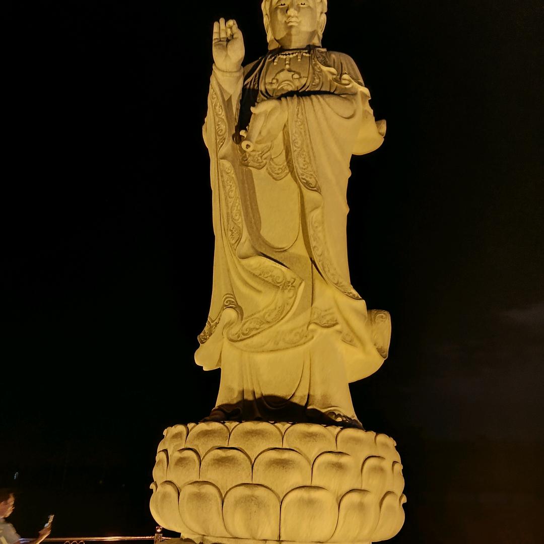 单身黑玫瑰侠客