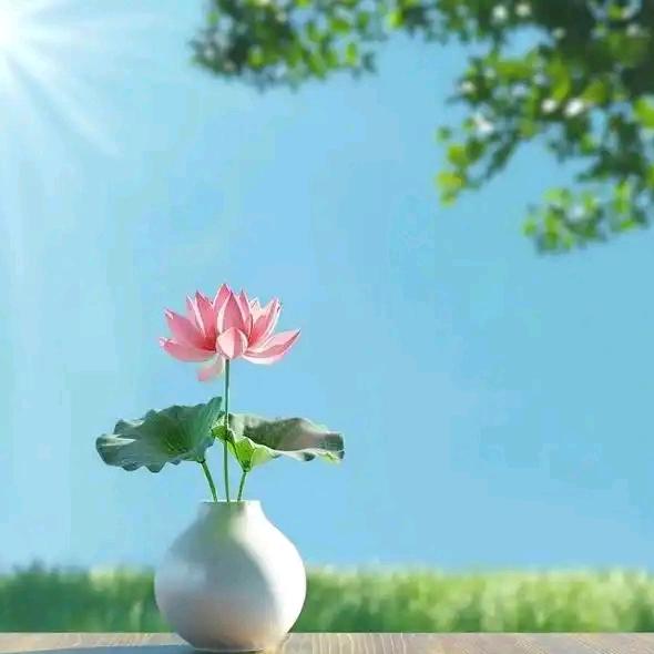 歲月靜好