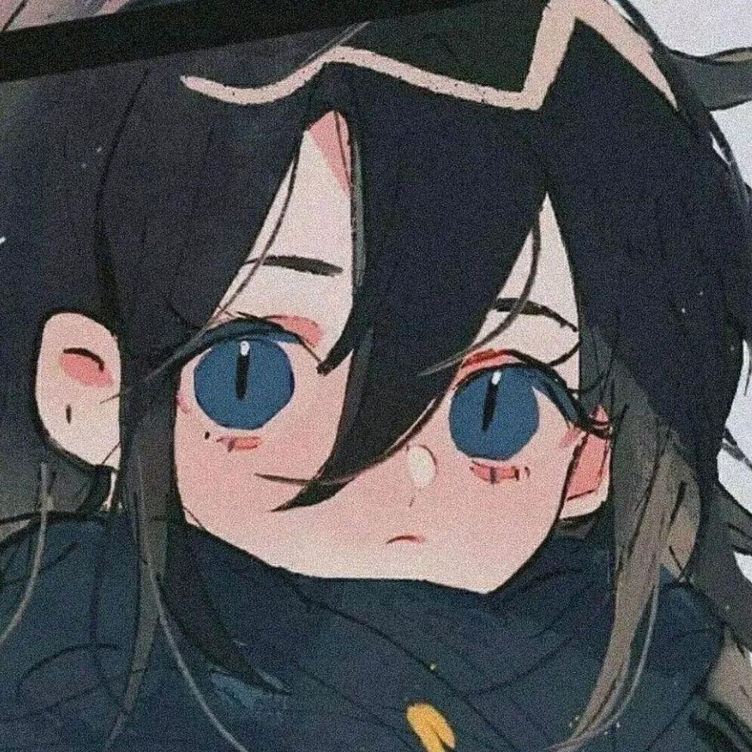 养猫