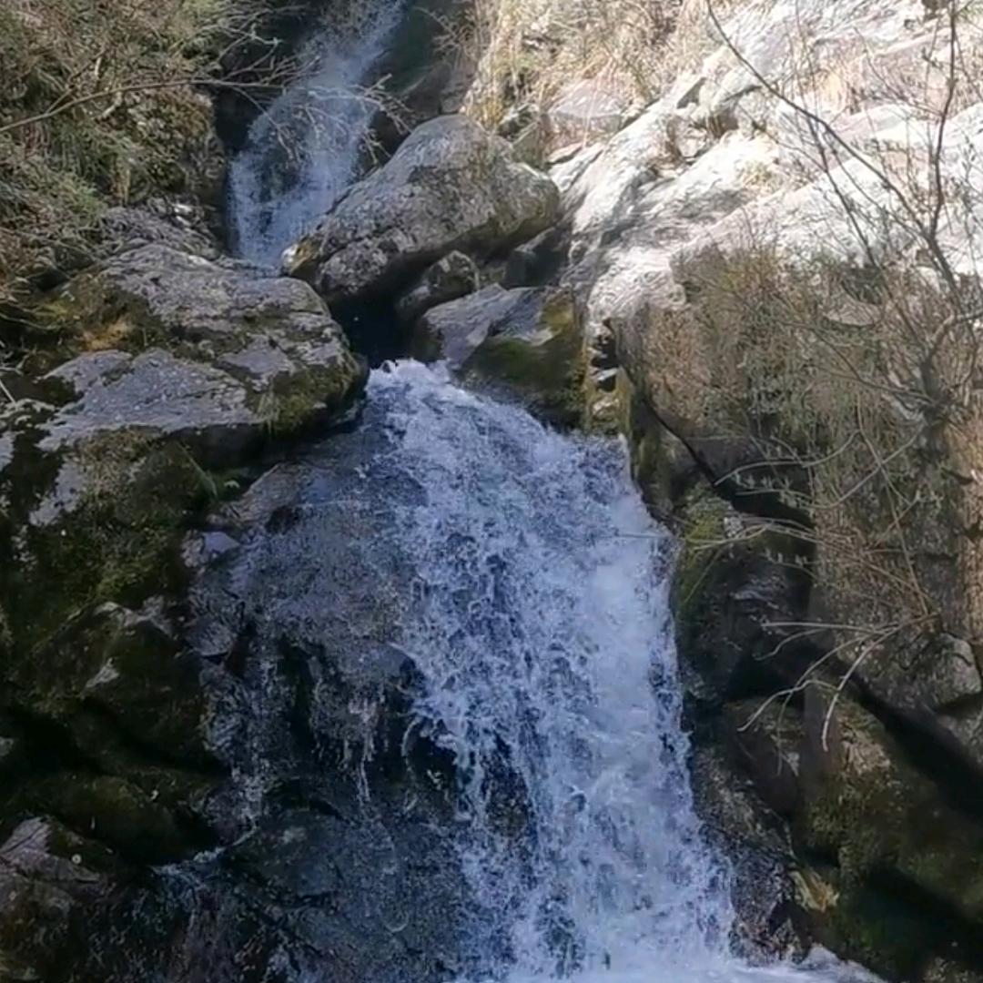 自由的风