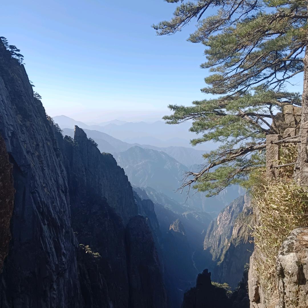 小小小言