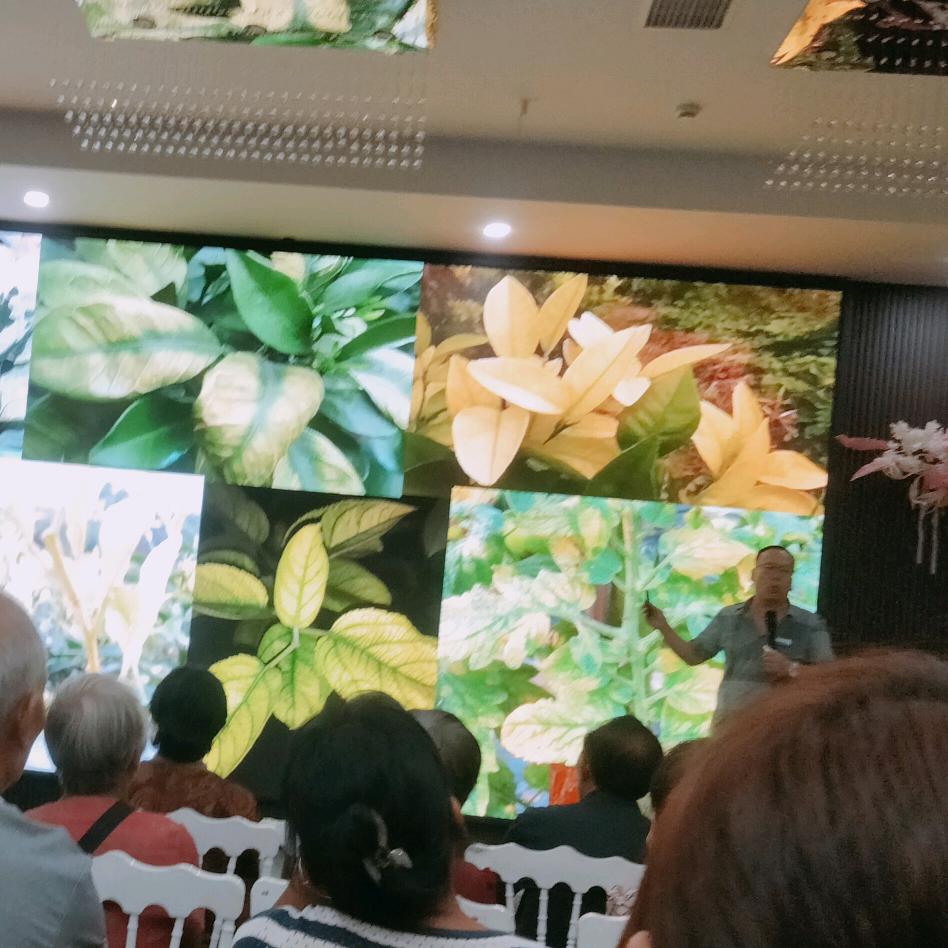 任诗涵（焦霞）