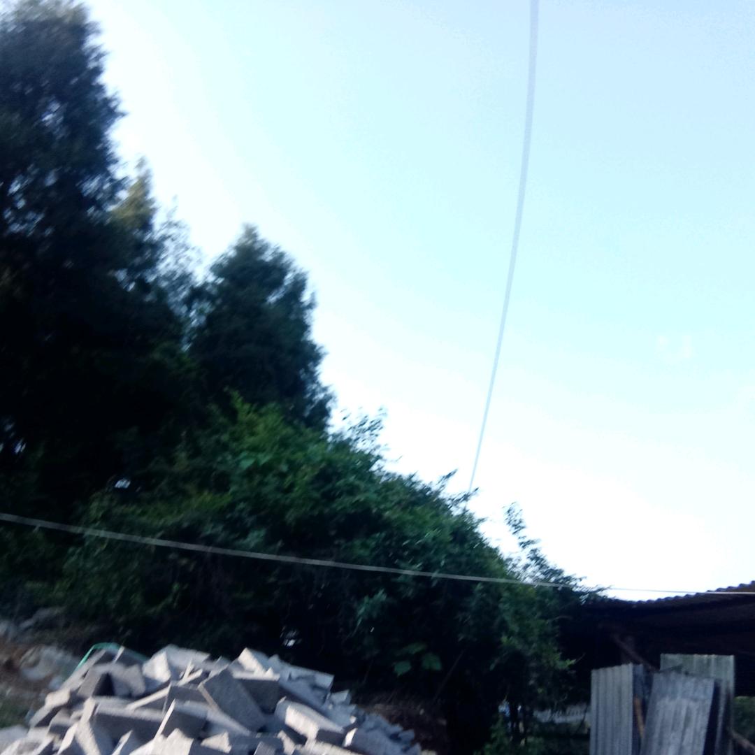 忘记过去
