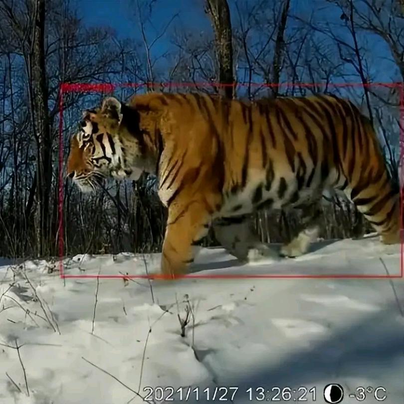 ♛♛♛旺仔 QQ糖♛♛♛