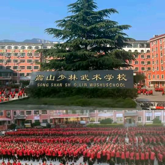 嵩山少林武校资询