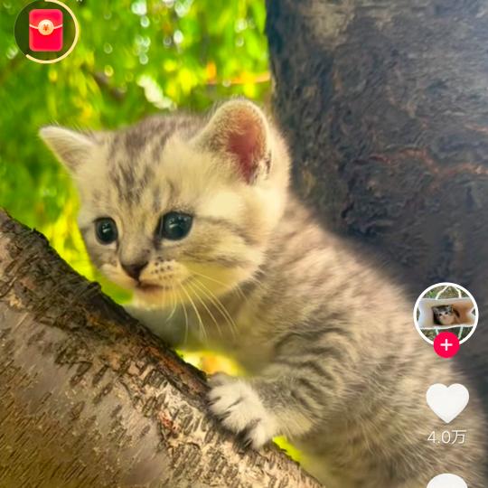 BЁ阳光大男孩酒鬼