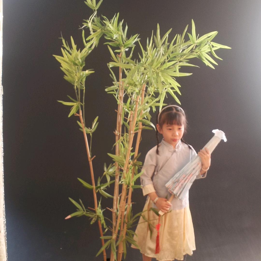 陈家小妹