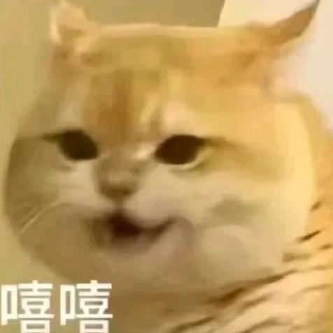 M小黑
