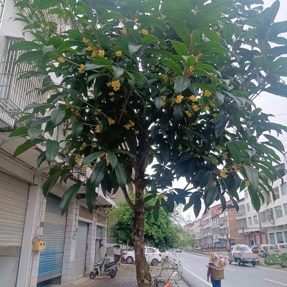 泽和