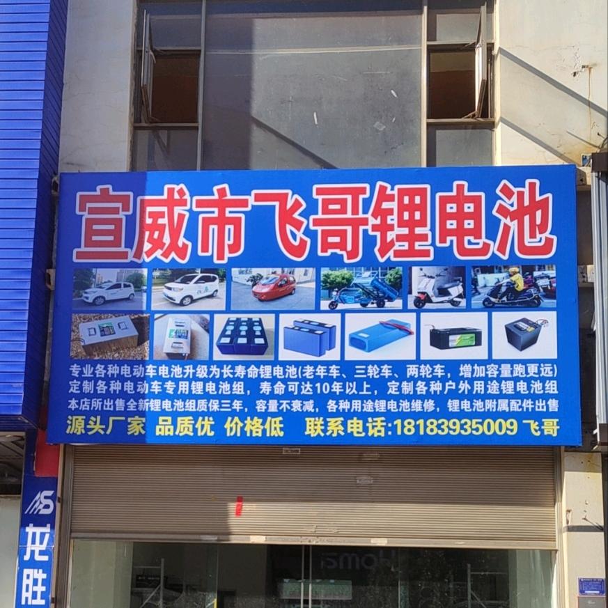 飞哥锂电池
