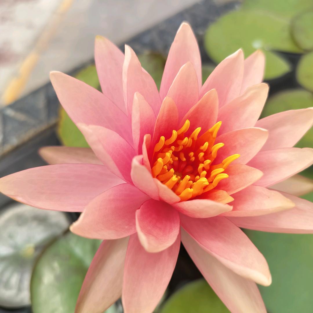 顺其自然13111162158