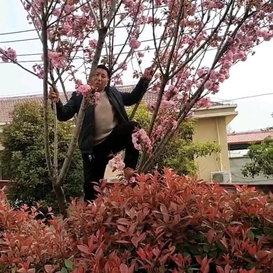 开心快乐