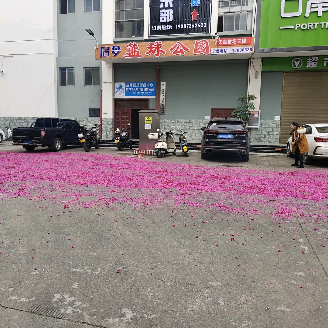 天赢启梦篮球培训馆