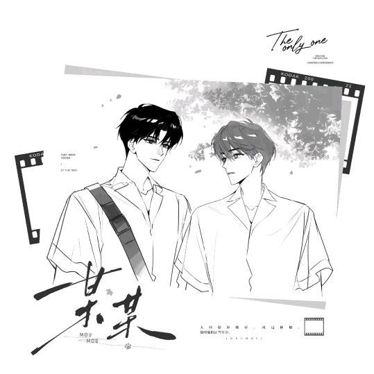 鱼吃吃🐟