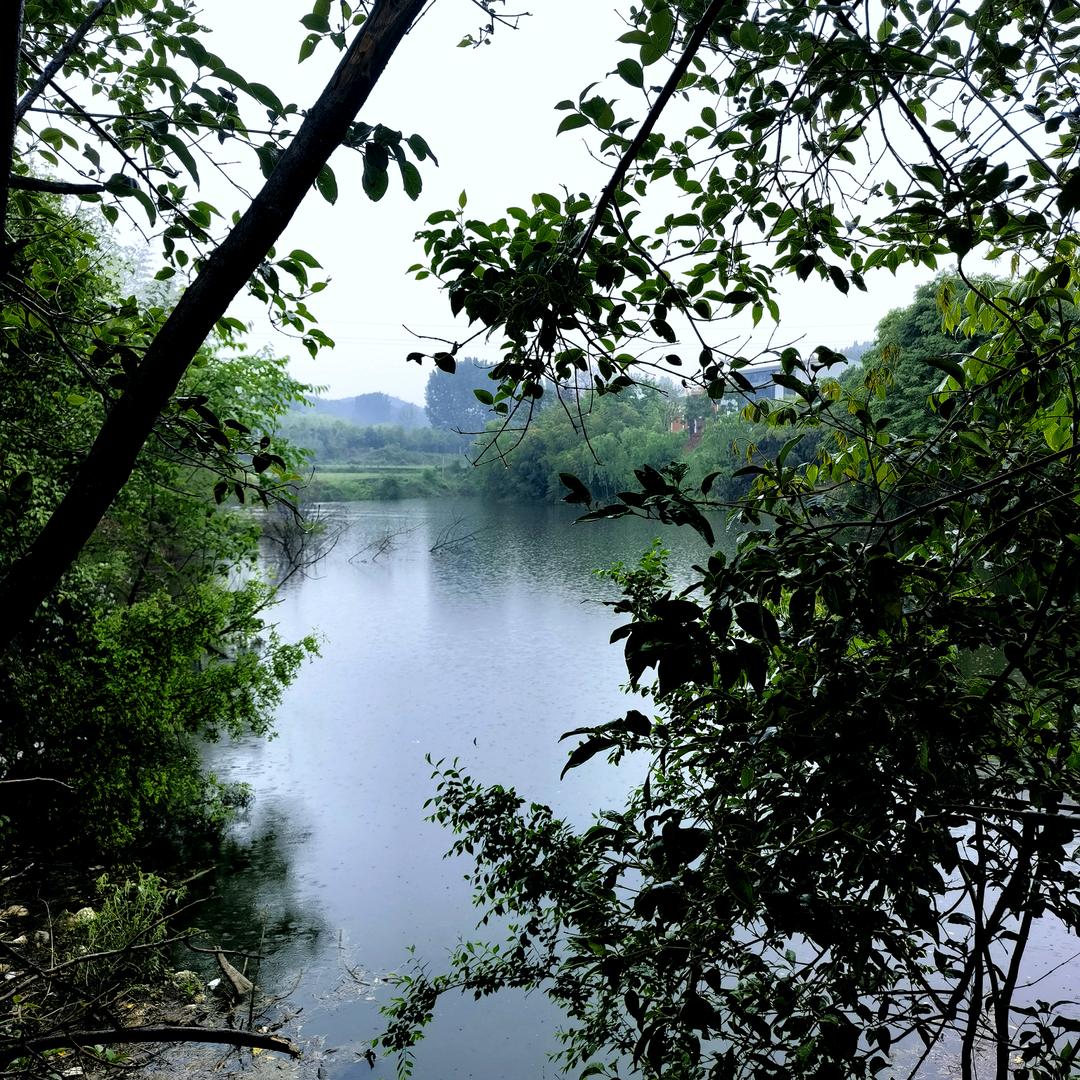 金猪潭（花石金猪）