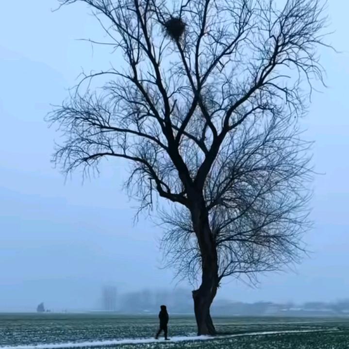 烈酒敬余生