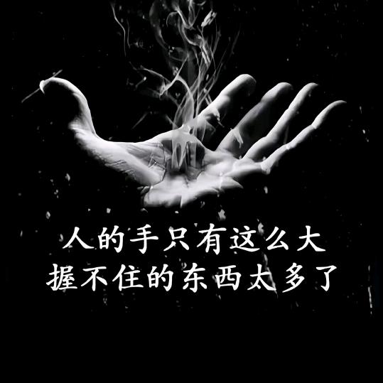 何以笙箫默