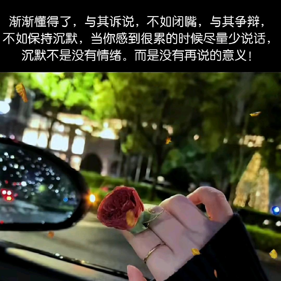此生挚爱我🐇