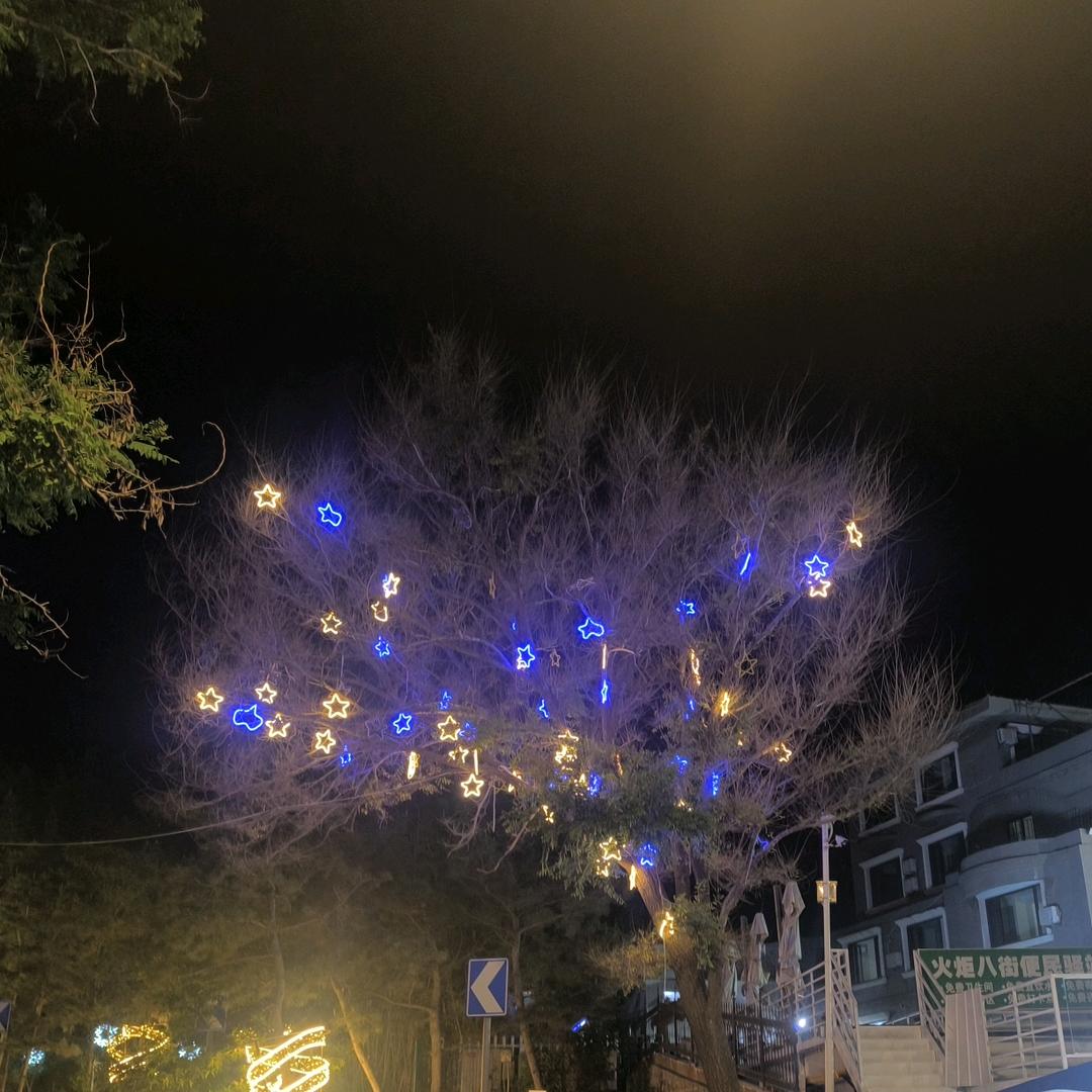 时光与你皆温柔