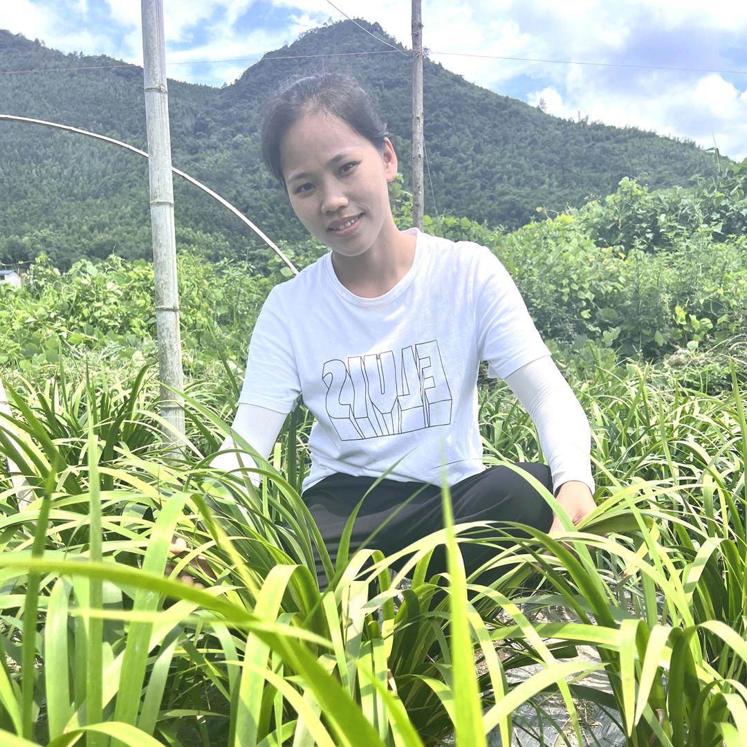 惠民凯发农业