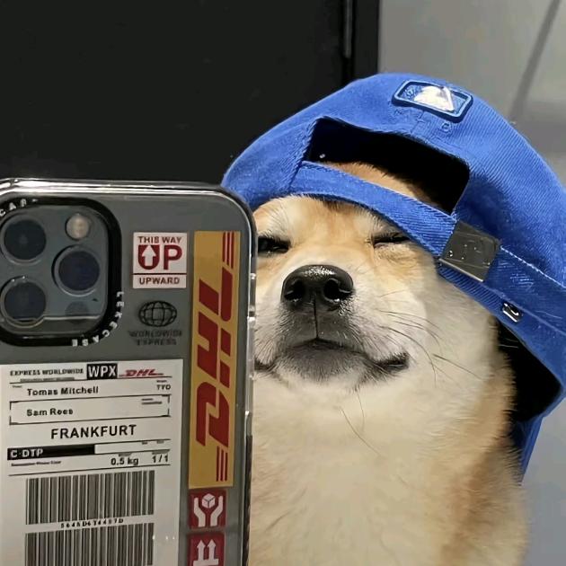 雾.