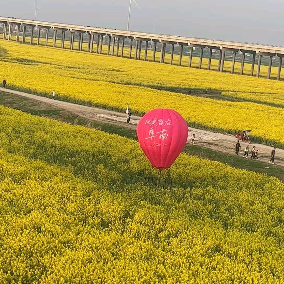 杨姐