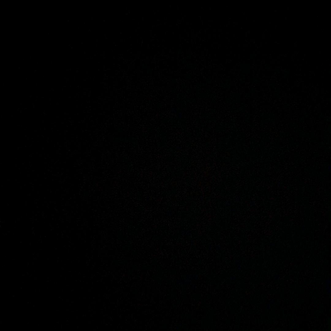 白天不懂夜的黑