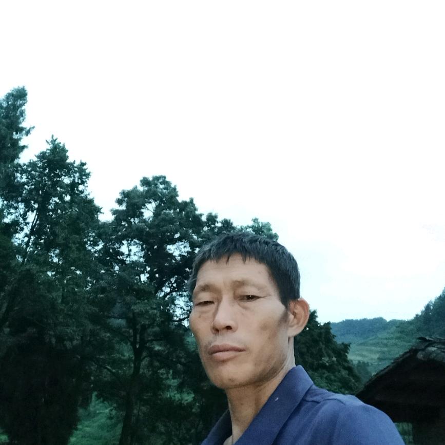 蒋p1ng专业烫裤