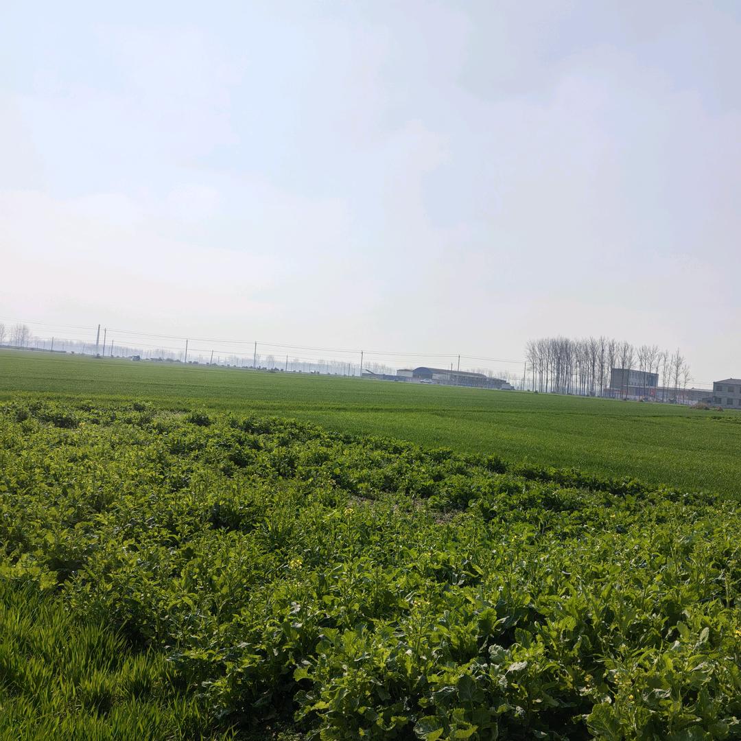 恼袋空空