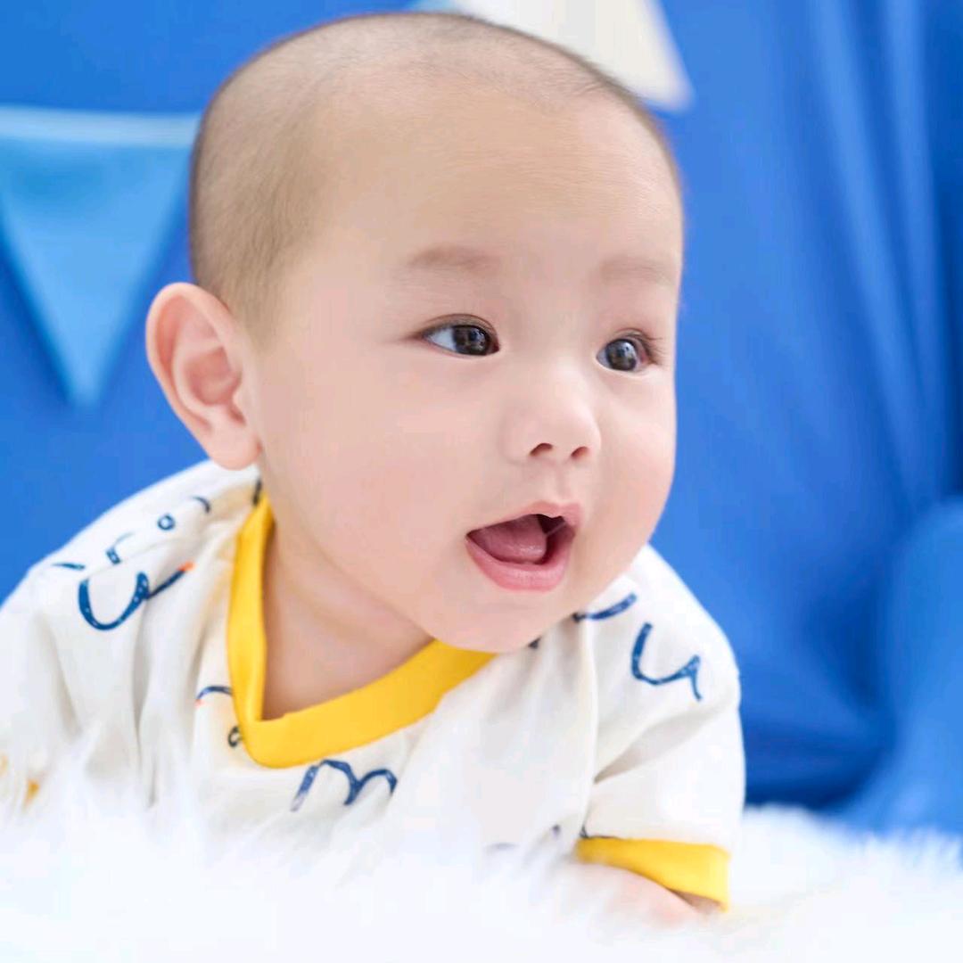 美丽的你🦚🦚🦚