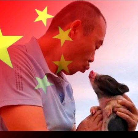 猪八姐