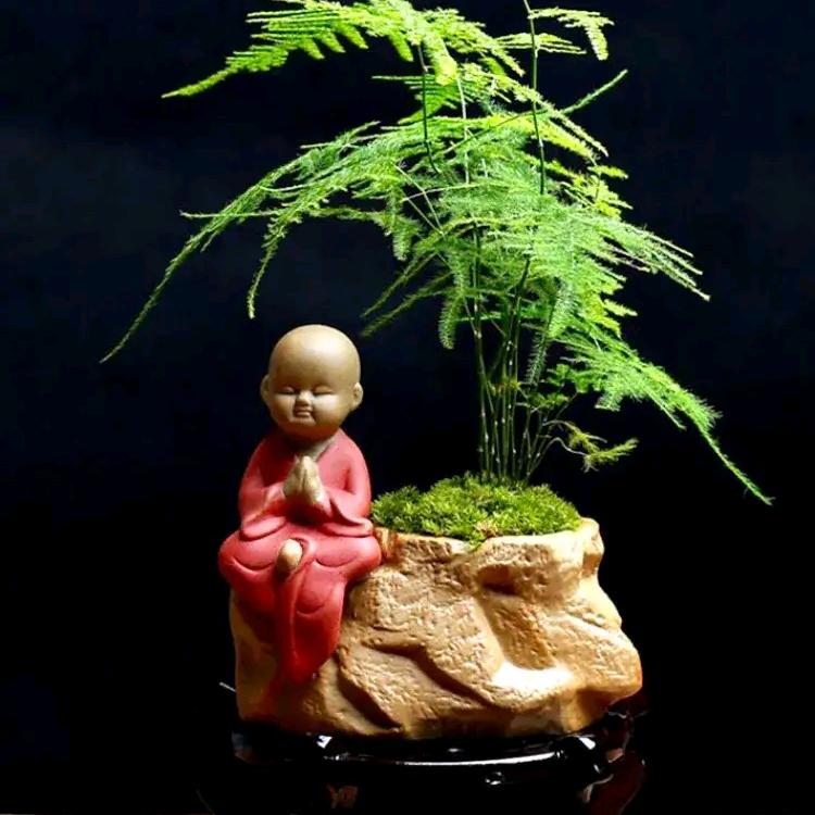 智者