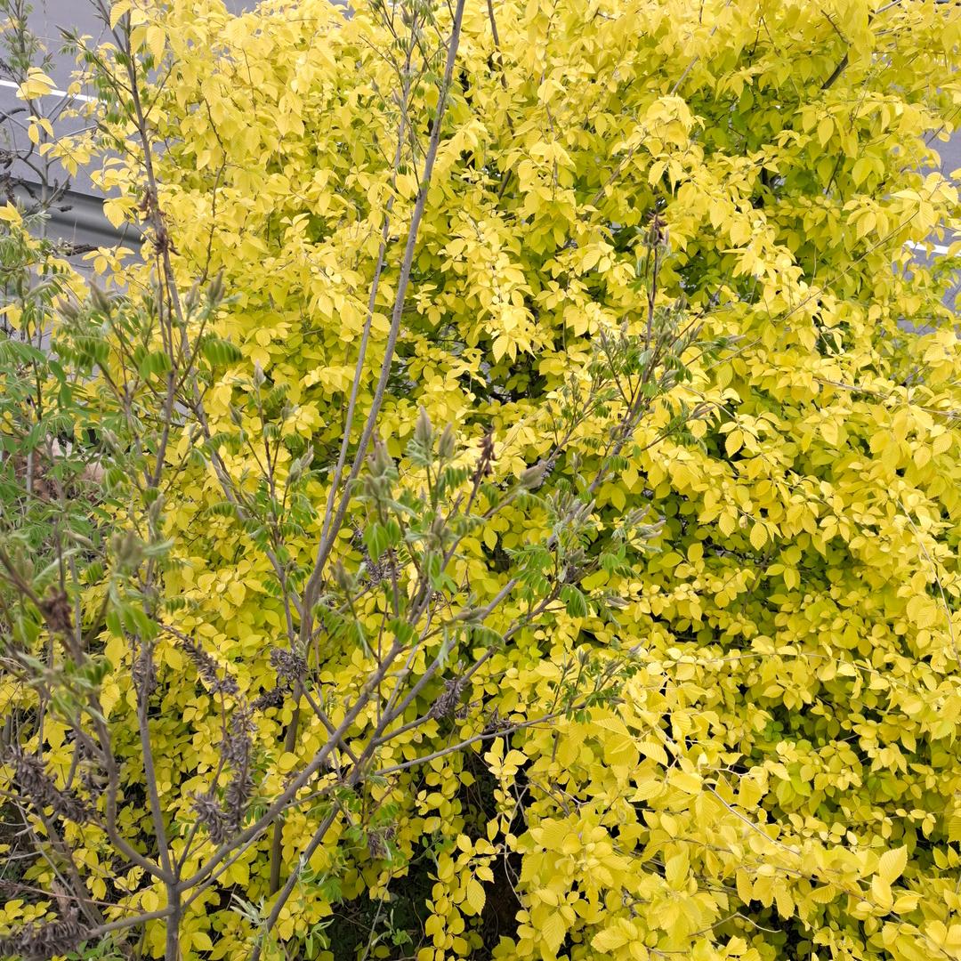 开心快乐每一天666666